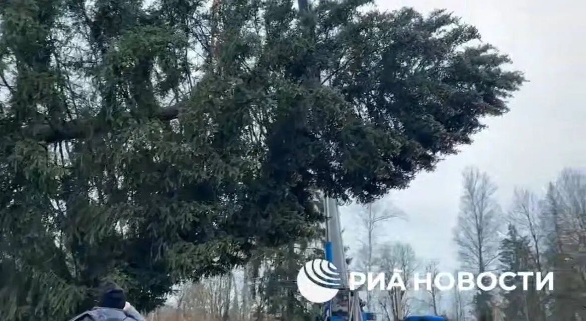    Фото: скриншот видео РИА Новости