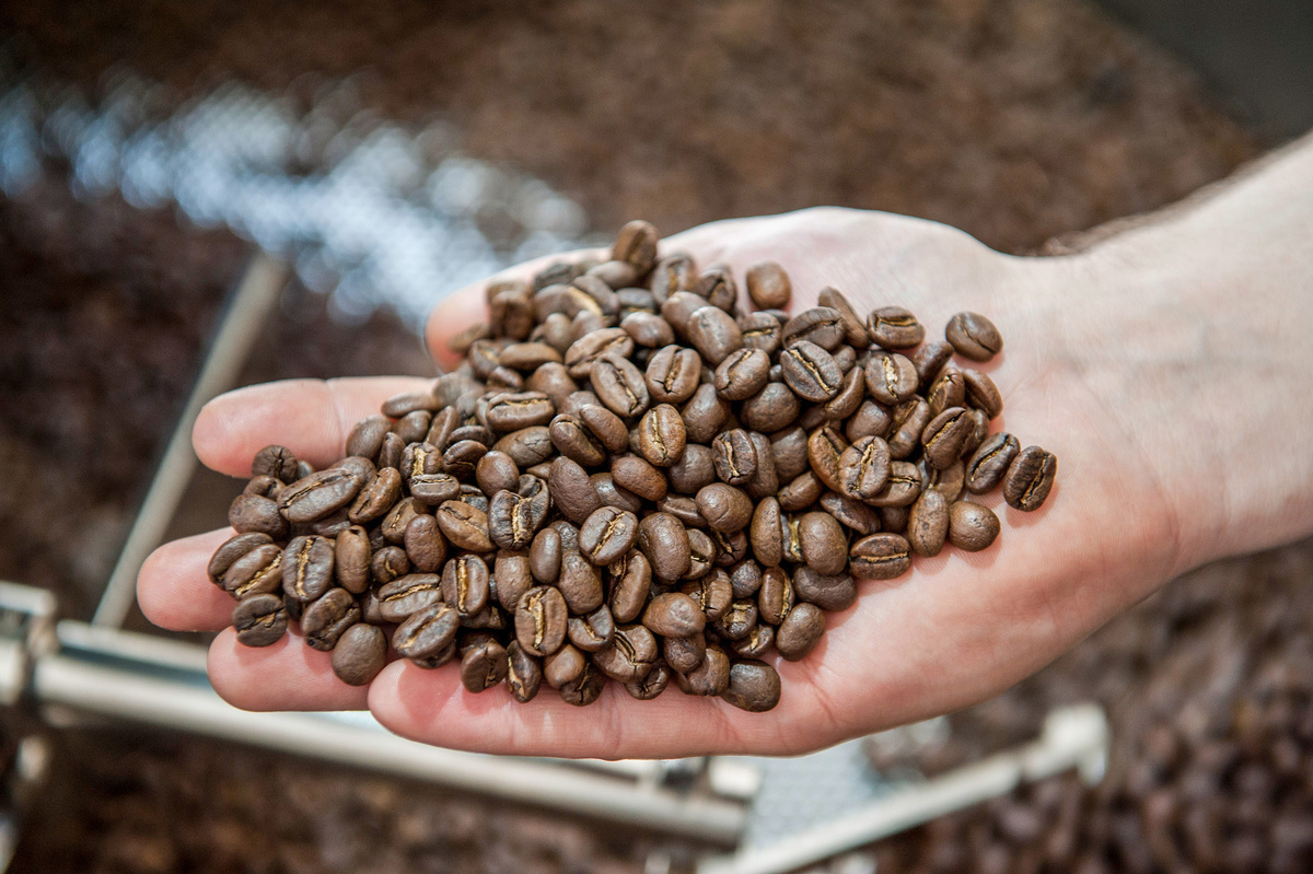    © Константин Долгановский