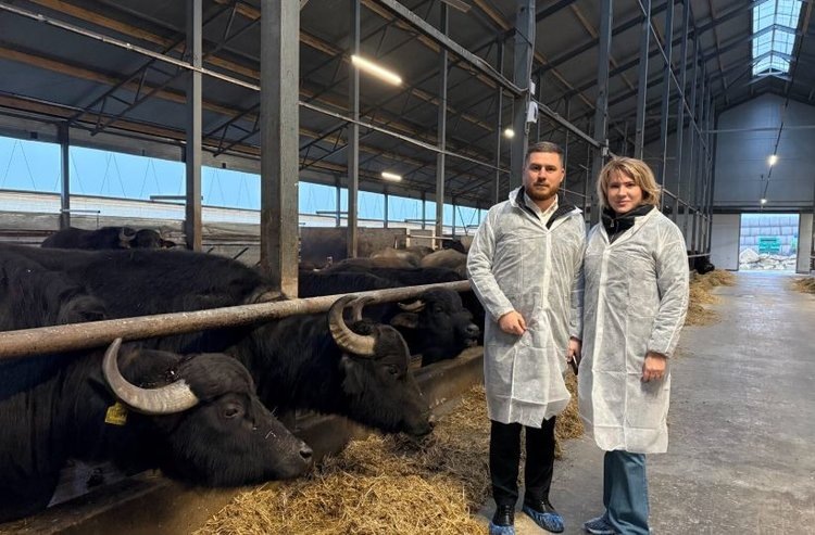    Фото: Молочный союз России