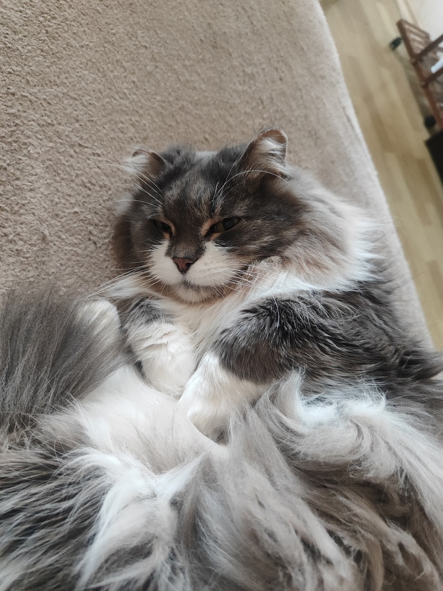 Майор вытянул свой счастливый билет!