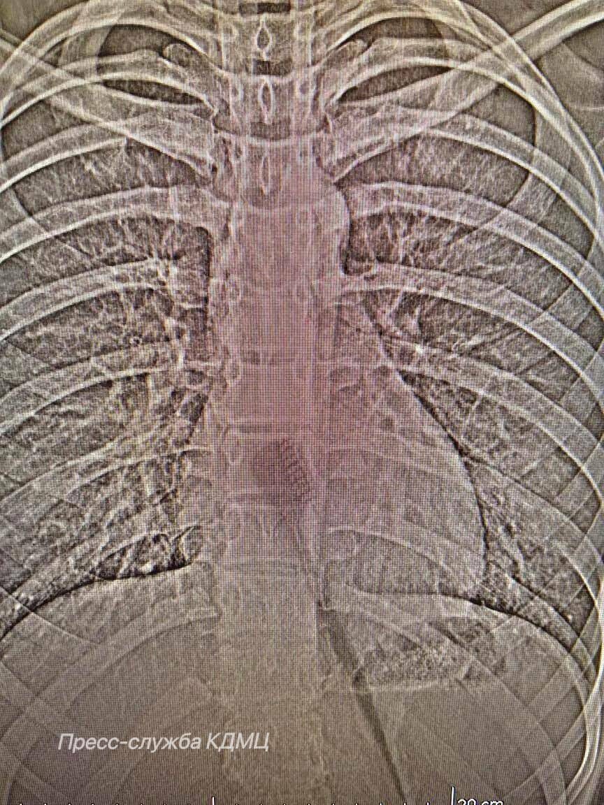 Фото: пресс-служба КДМЦ