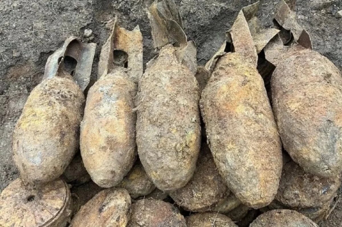    Под Петербургом нашли и уничтожили авиабомбы и более сотни мин времен войны