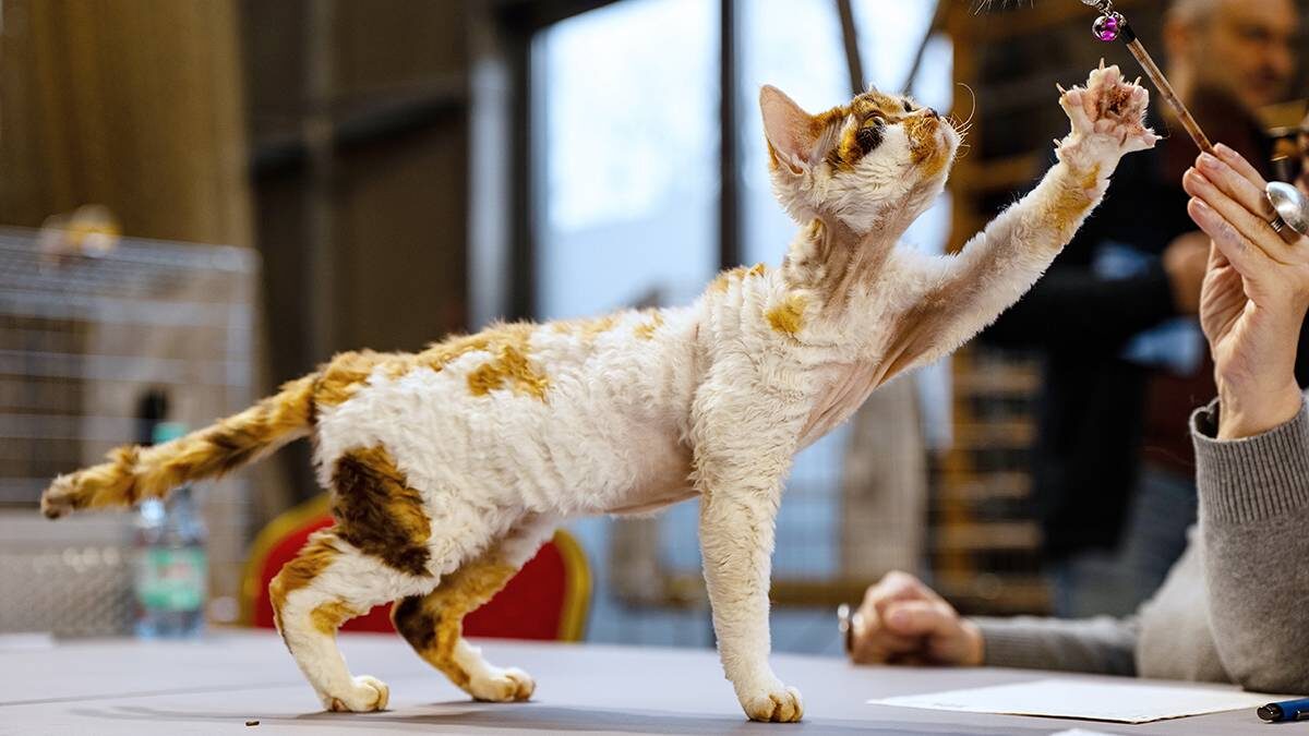    Фото: Shutterstock