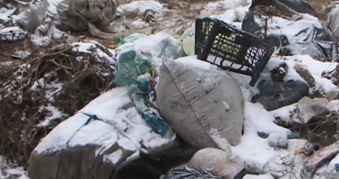     В сосновом бору возле Минусинска неизвестные устроили свалку