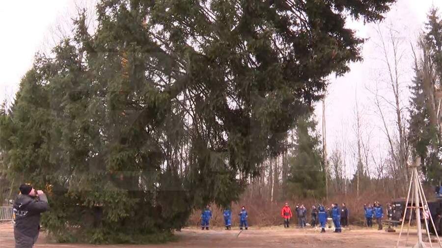    Фото: ИЗВЕСТИЯ