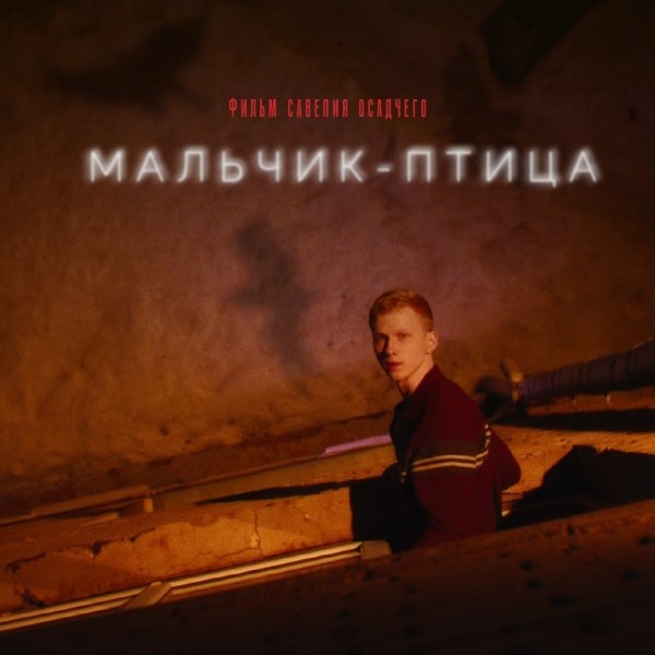     «Зимний-2025»: Обзор фильмов «Мальчик-птица» и «Мальчик и робот»