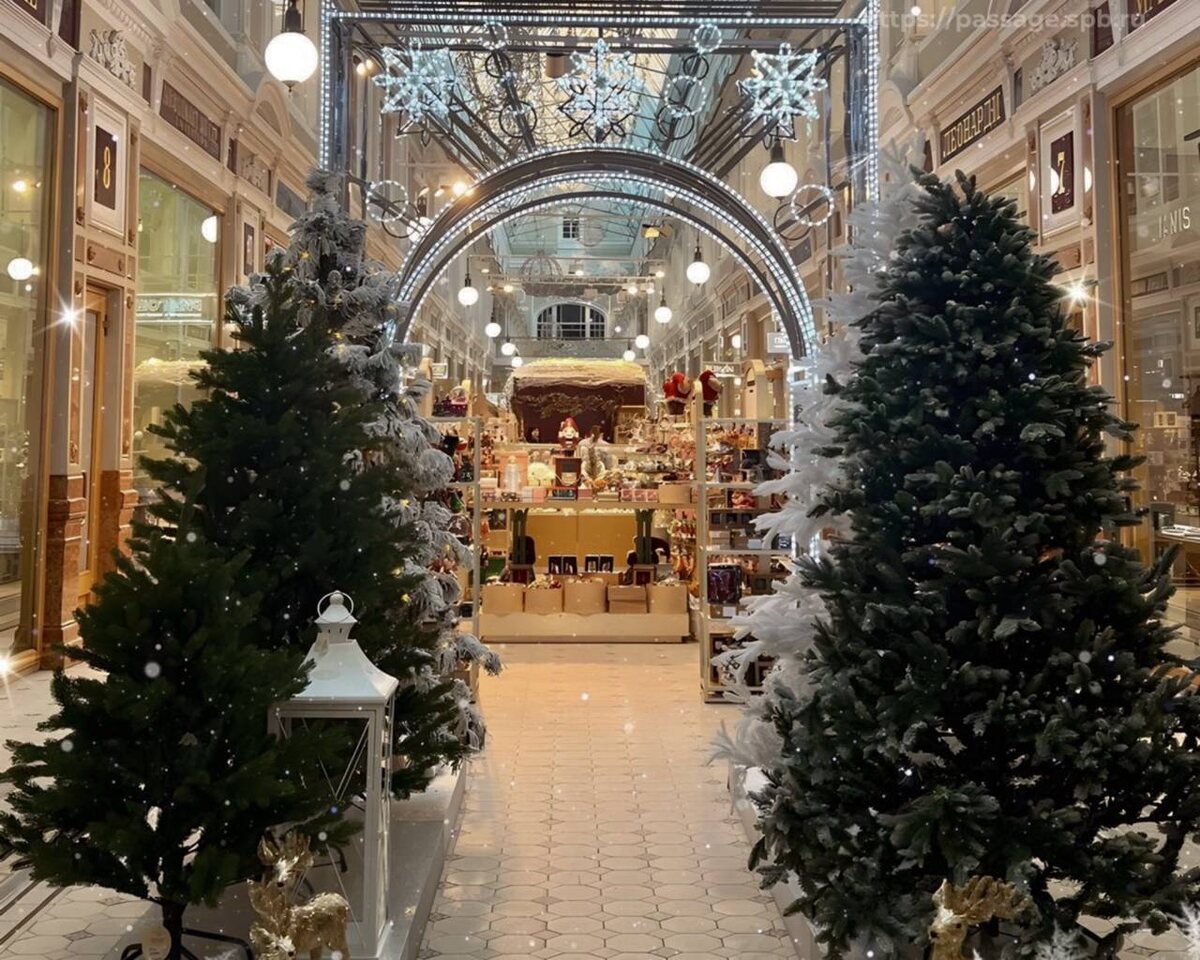 Источник: https://passage.spb.ru