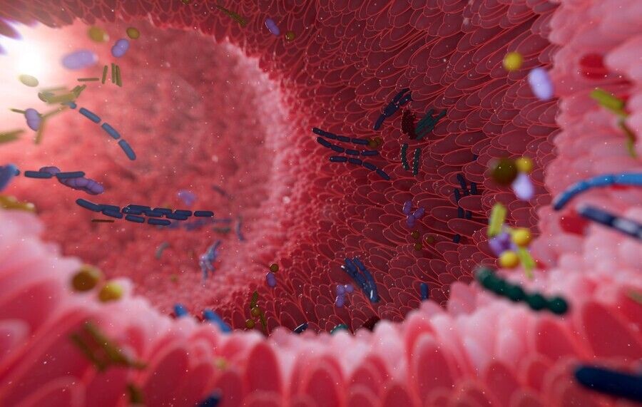     / Источник: © IMAGO/Science Photo Library/ТАСС