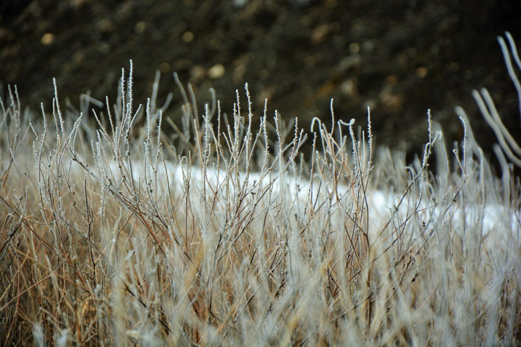 Фото: Гала Амарандо