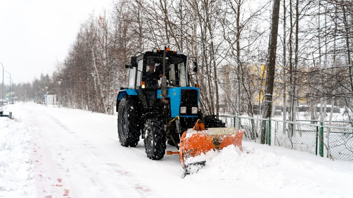    Фото: Сергей Зубков / «Ямал-Медиа»