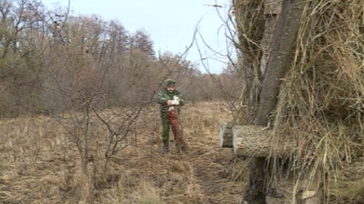    Несмотря на отсутствие снега в курских лесах начался зимний сезон