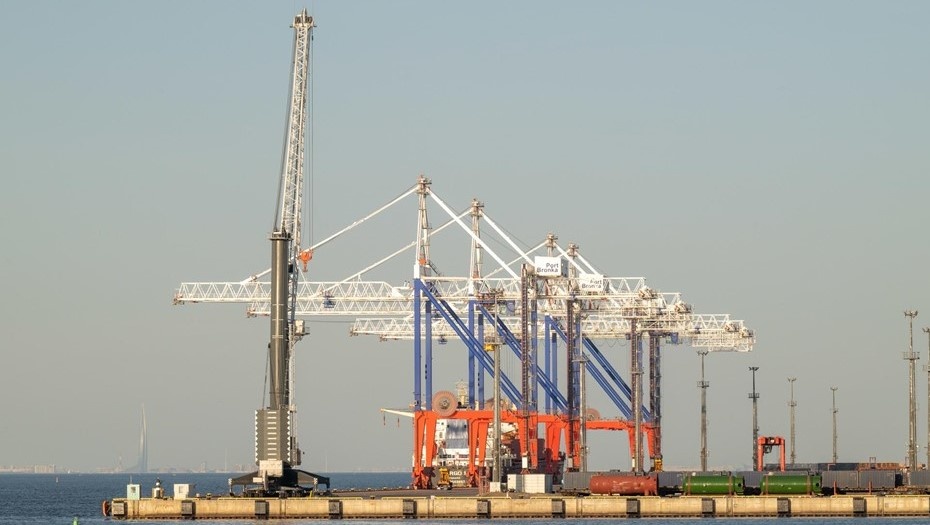    Автор фото: Тихонов Михаил