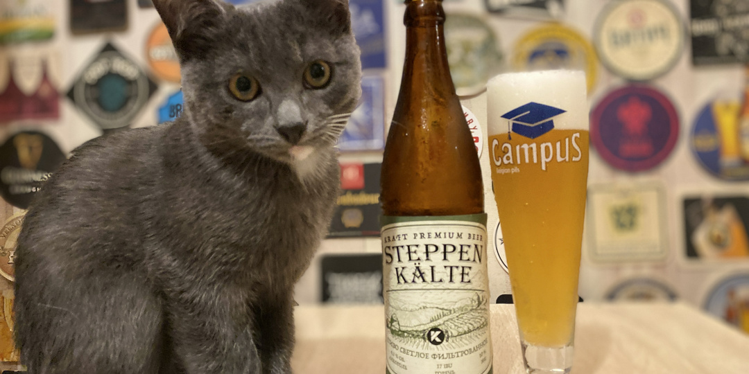 Новое пиво из Магнита! Steppen Kalte за 79 рублей 99 копеек. Обзор!