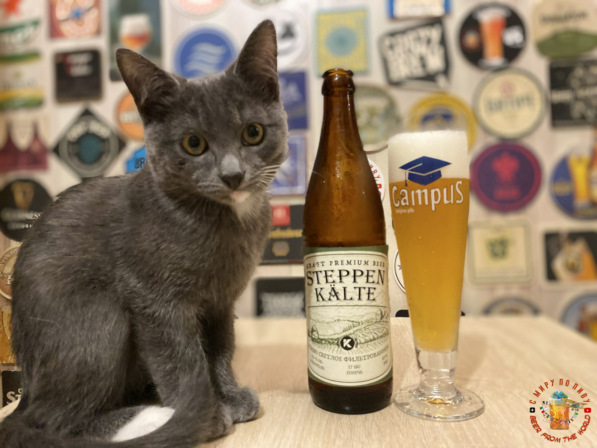 Зачем ты это купил, Рома?