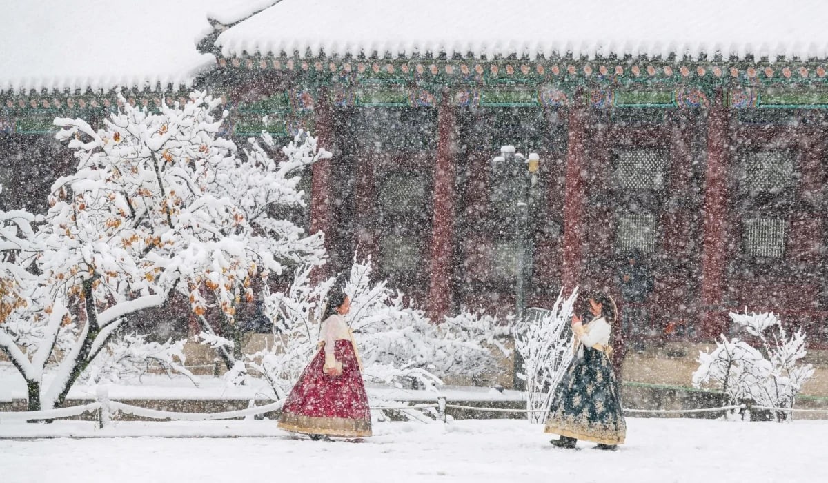 Фото: южнокорейская газета The Korea Herald