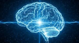 Искусственные нейросети вдохновлены принципами работы человеческого мозга.