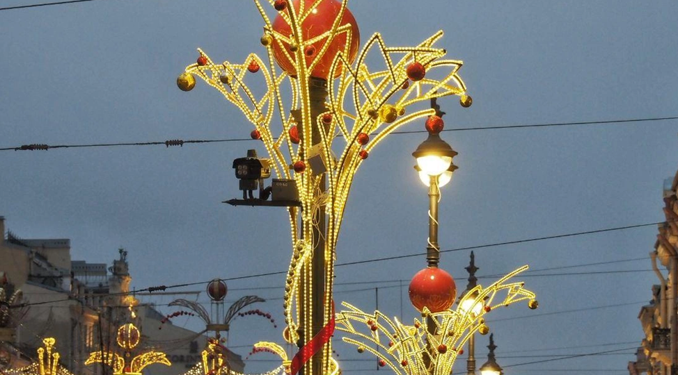 Дневник. Спасение крассулы от плесени и подготовка к праздникам.