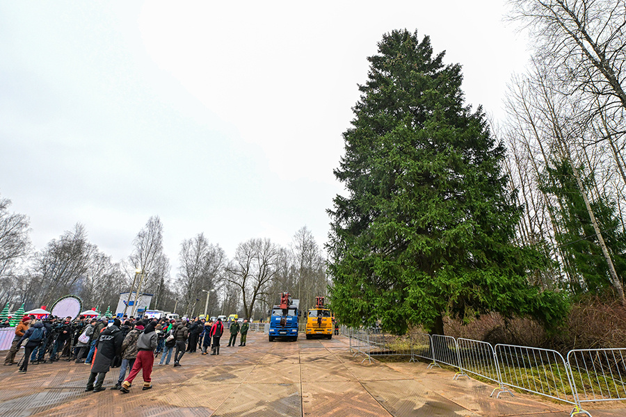    ©Агентство городских новостей "Москва"