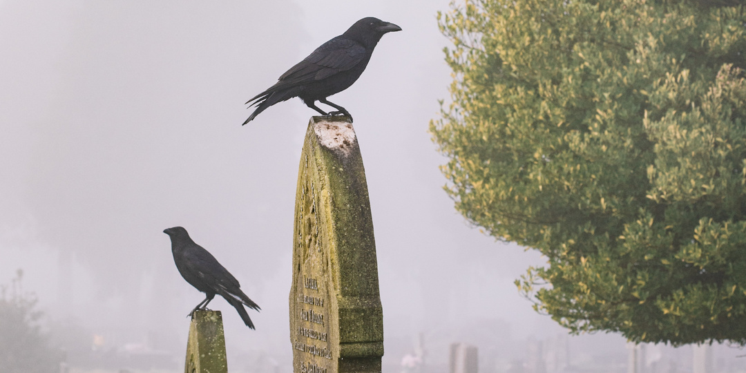 Приключения писателей после смерти: 7 кладбищенских историй