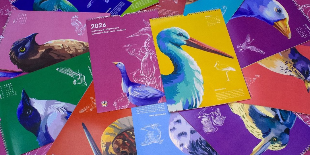 Вот такие календарики авторства Ксении приедут на «Белобоку» 20 декабря ❤ Приобрести их можно будет за столом реабилитационного центра