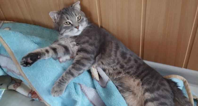    Фото irkutsk.news