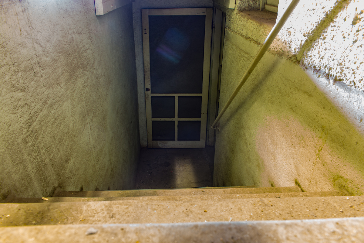 Designed by Freepik. Источник: www.freepik.com