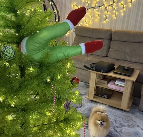 НОВОГОДНИЕ НАХОДКИ на Wildberries🎄☃️Для Декора и Интересные Новогодние Подарки.