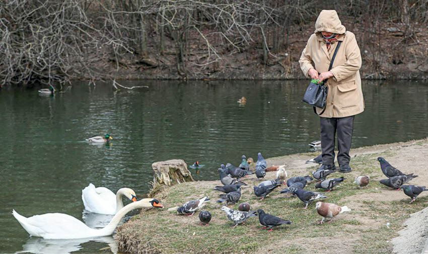 Фото: Михаил ГЛАДЧУК
