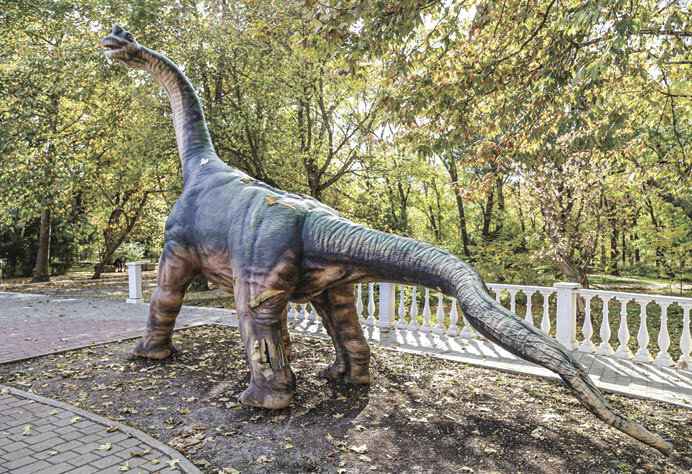 Фото: Михаил Гладчук