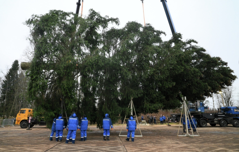   Евгений Биятов/РИА Новости