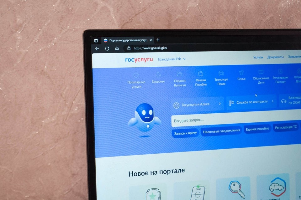    Депутат Немкин связал отказ от входа на "Госуслуги" через СМС с мошенниками Даниил ОПАРИН