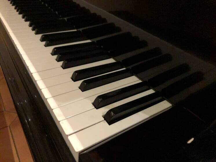     На одной сцене соберутся молодые артисты, авторитетные музыканты, лауреаты международных музыкальных конкурсов. Фото: Архив МК в Великом Новгороде