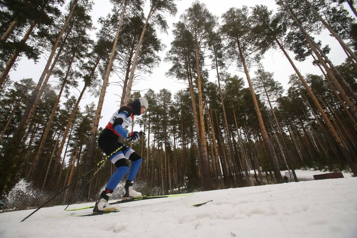Фото: телеграм-канал губернатора Тюменской области Александра Моора