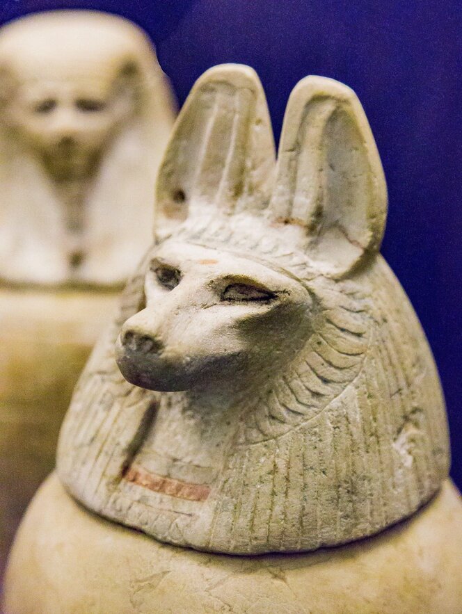 Одна из четырех каноп принца Хорнахта (канопа – это «горшочек» для хранения внутренностей мумии) с головой шакала. Египетский музей в Каире / Alain Guilleux