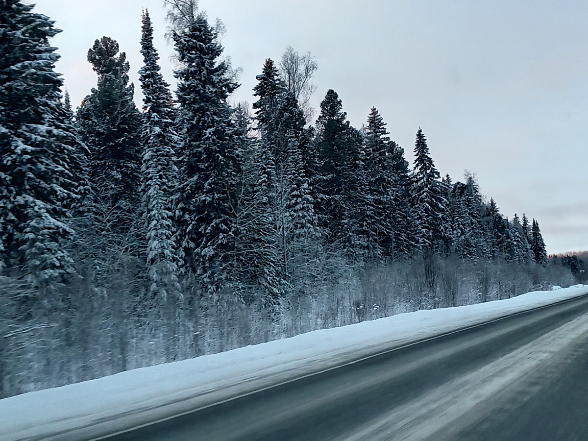 Фото автора.