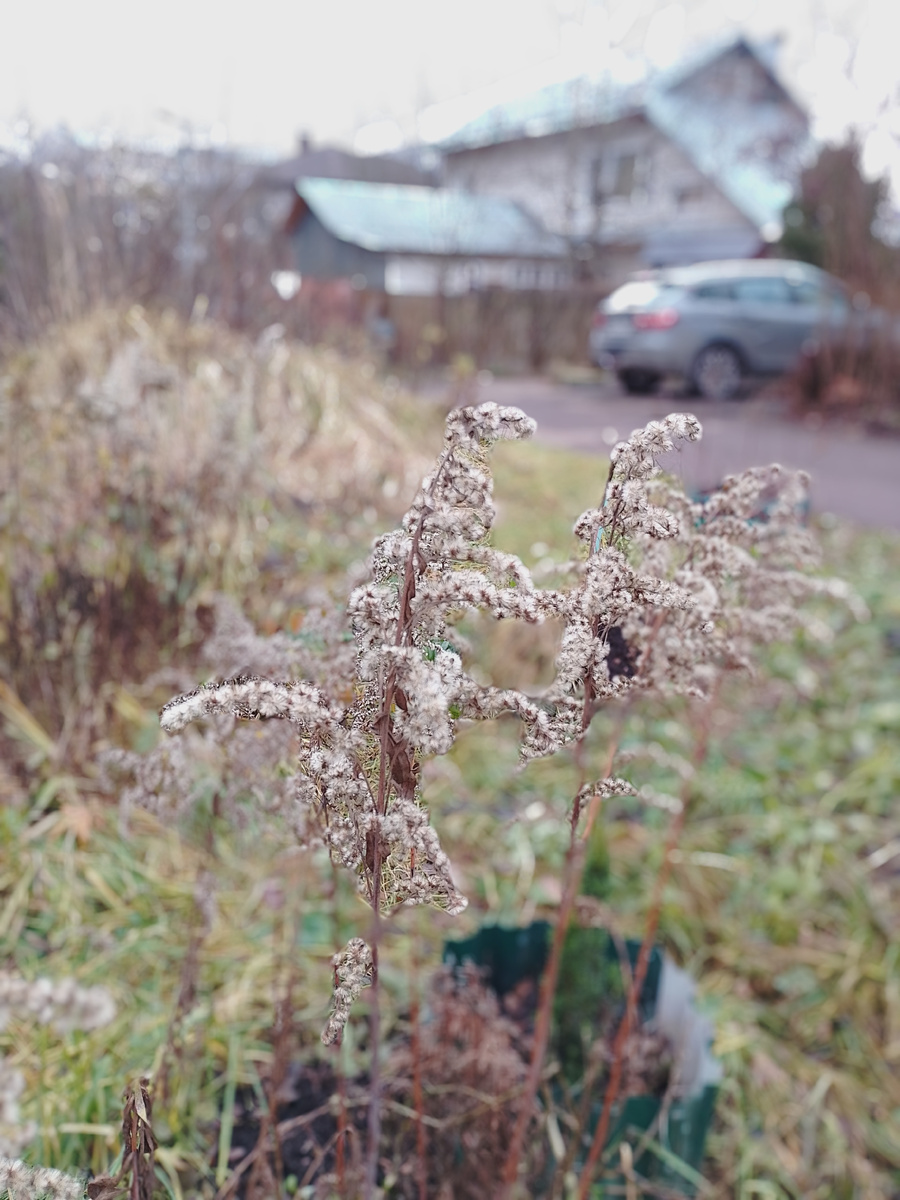 Фото автора.