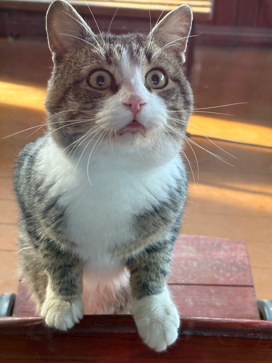 А второй завтрак дадут?