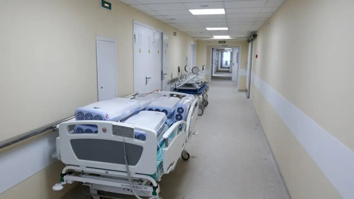     © АГН «Москва»