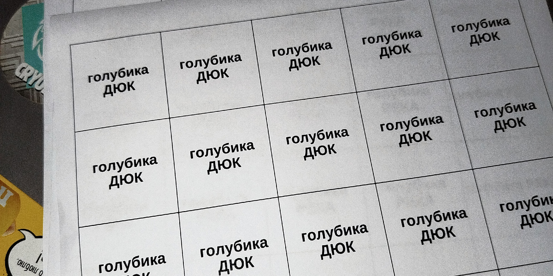 Начало укоренения черенков голубики.