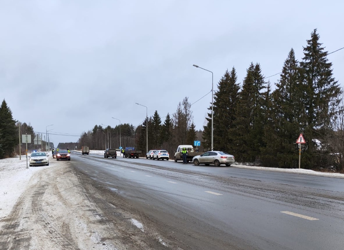    Фото: ГАИ Карелии