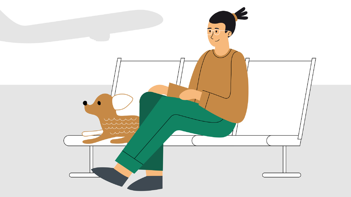 5 правил, как подготовиться к перелёту с собакой