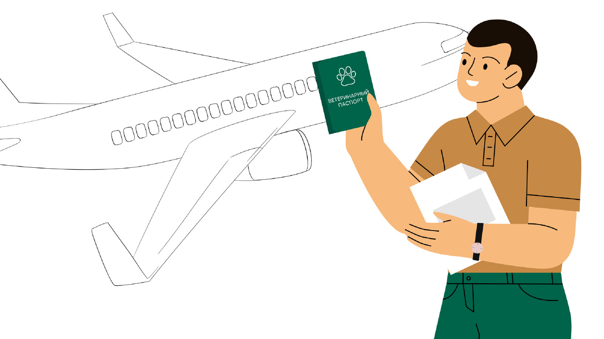 5 правил, как подготовиться к перелёту с собакой