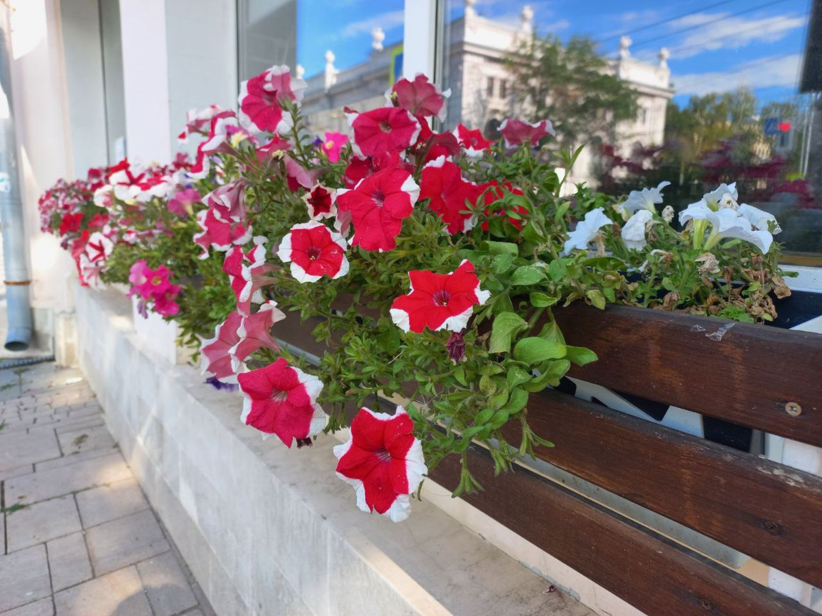 Фото автора.