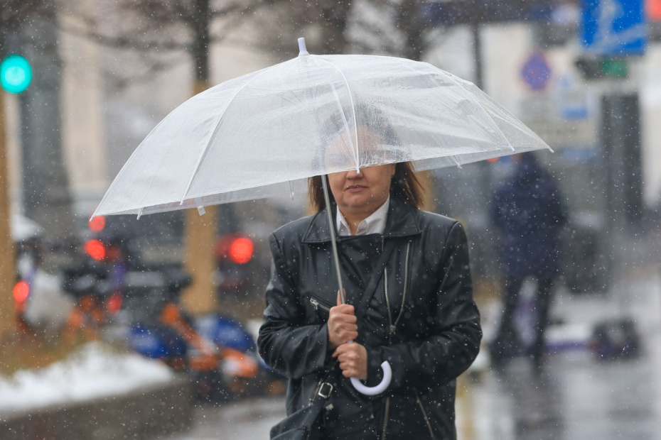    Наталья Шатохина/NEWS.ru