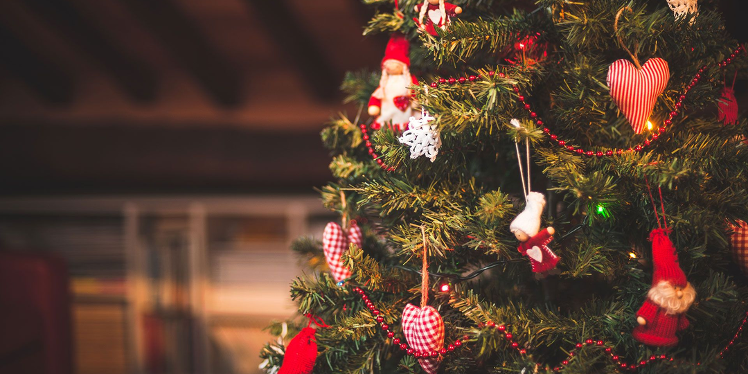 Шокирующая правда о новогодней елке: через что прошла обычная ель, чтобы оказаться в вашей гостиной