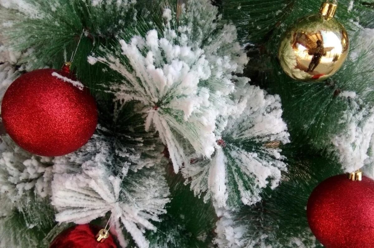    Театры, музыка, Дед Мороз.