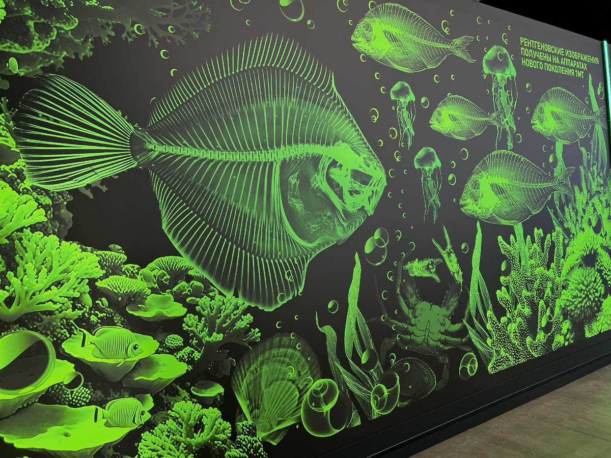 Интересные стенды на выставке «Здравоохранение-2025» (листайте, чтобы посмотреть все фото)