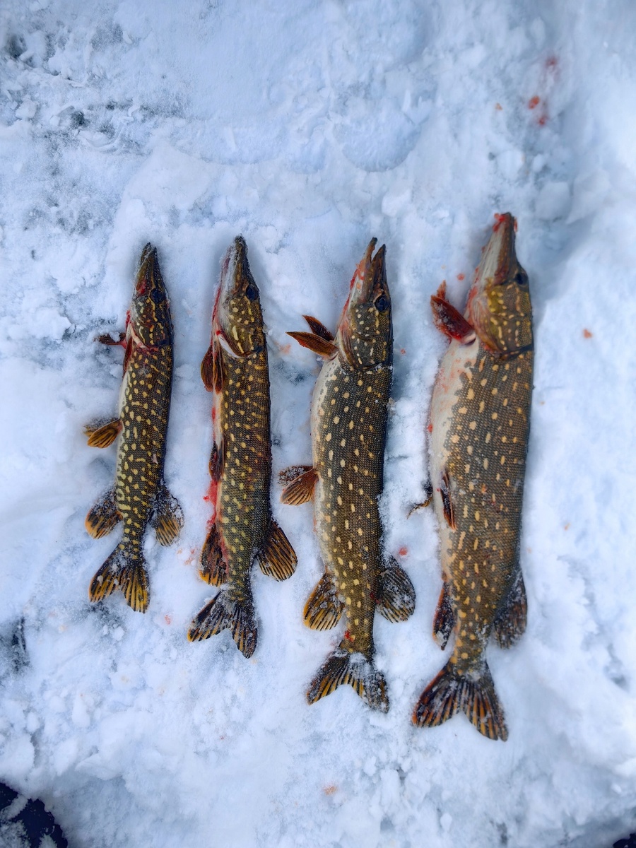 Фото автора. Эх.... Были времена...