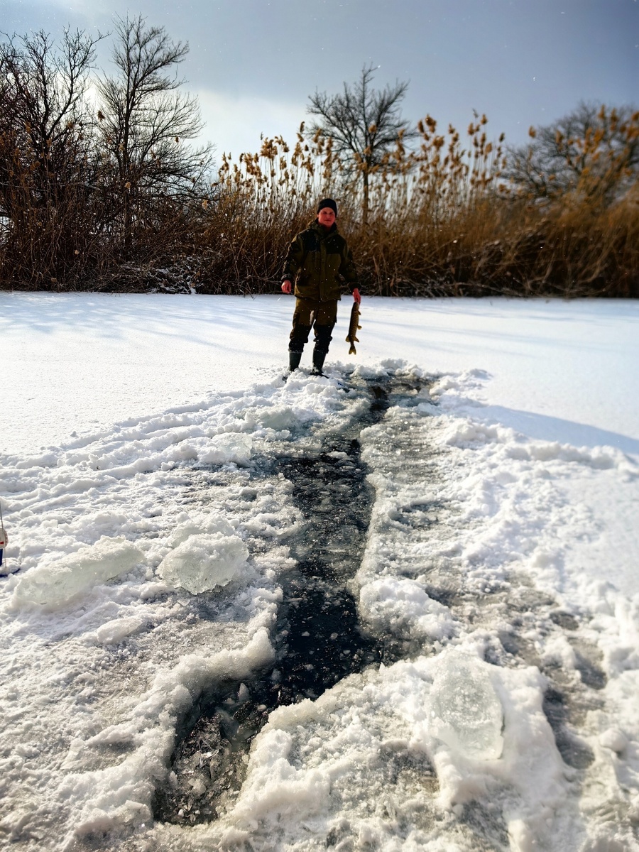 Фото автора.