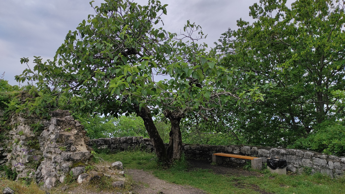 Тихий уголок в Абхазии. Фото: Кирилл Полиенко/Polienko: путешествуем вдвоём